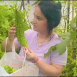 पहाड़ की बेटी लक्ष्मी का कमाल, 50 महिलाओं को दिया रोजगार, सेना को सप्लाई होंगी उपज..