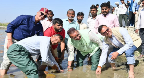 उत्तराखंड में कृषि का नया मॉडल, मखाना खेती का पायलट प्रोजेक्ट शुरू..