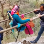 पहाड़ की पीड़ा, सड़क न होने से घायल महिला को डंडी-कंडी के सहारे पहुंचाया अस्पताल..